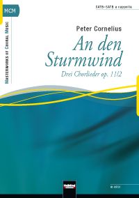 An den Sturmwind 