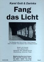 Fang das Licht 