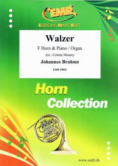 Walzer Standard