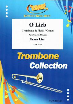 O Lieb Standard