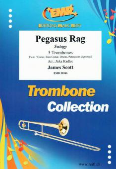 Pegasus Rag Standard