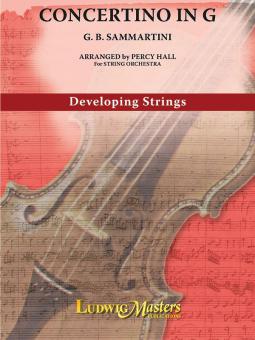 Concertino in G 