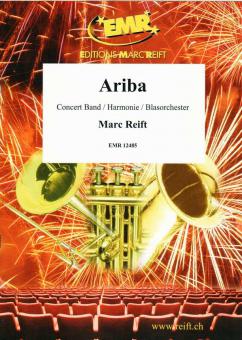 Ariba Standard