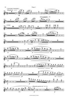 Maskarade / Masquerade - Canzone Parodica 