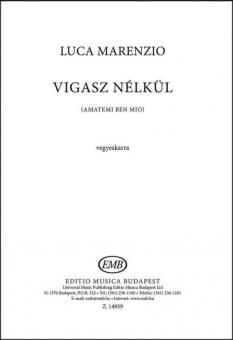 Vigasz nélkül 