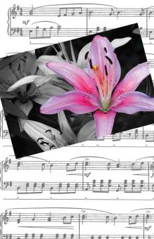 Recital Program #79 - 25 Pkg 
