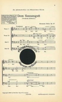 Sonnengott 