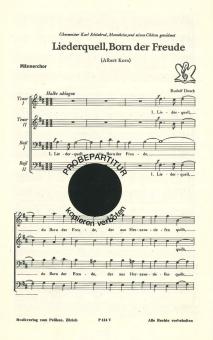 Liederquell Born der Freude 