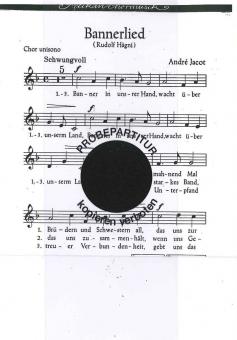 Bannerlied 