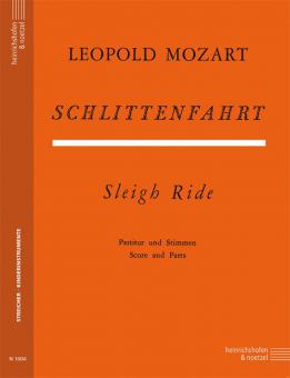Die Schlittenfahrt 
