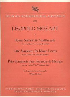 Kleine Sinfonie für Musikfreunde 