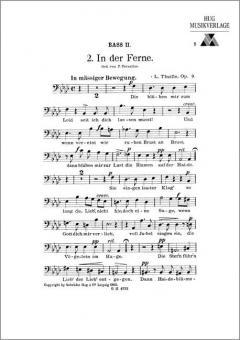 In der Ferne 
