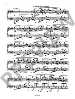 12 Etüden in fortschreitender Schwierigkeit op. 11 von Sergey Mikhaylovich Lyapunov 