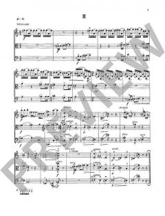 Divertimento von Gustav Lenzewski 