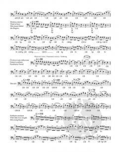 Schule der Bogentechnik op. 2 - Heft 1 und 2 von Otakar Ševčík (Download) 