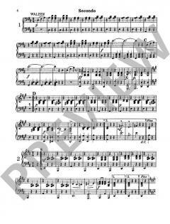 Meine Strauss-Walzer von Johann Strauss (Sohn) (Download) 