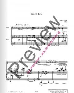 Soleil-Feu von Thierry Pecou (Download) 