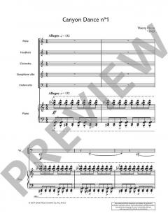 Canyon Dance 1 von Thierry Pecou (Download) 