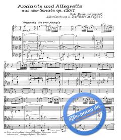 Andante und Allegretto von Johannes Brahms 