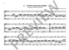 Sämtliche Orgelwerke: Mitteldeutsche Orgelmeister Band 2 von Friedrich Wilhelm Zachow (Download) im Alle Noten Shop kaufen