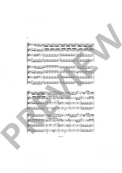 Concerti Grossi Vol. 3: Nr. 9-12 von Agnese Pavanello 