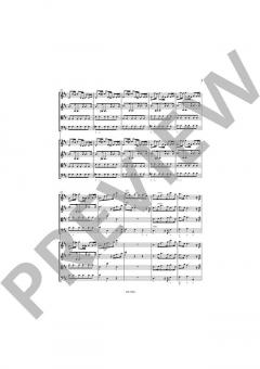 Concerti Grossi Vol. 3: Nr. 9-12 von Agnese Pavanello 
