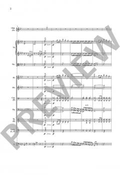 Konzert Nr. 1 op. 73 N.11 von Carl Maria von Weber 