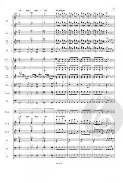 Sinfonie Nr. 8 G-Dur op. 88 B 163 von Antonín Dvořák 