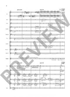 Die tote Stadt op. 12 von Erich Wolfgang Korngold 