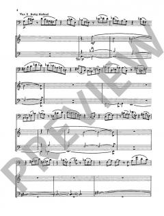 Variationen über ein Thema von Liszt Wk 249 von Wolfgang Stockmeier 