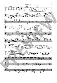 Vier ernste Gesänge von Johannes Brahms 