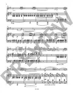 Nocturne op. 51/3 von Jean Sibelius 