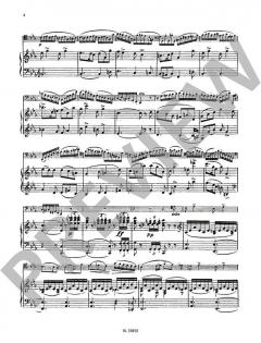 Andante e Rondo Ungarese op. 35 von Carl Maria von Weber 