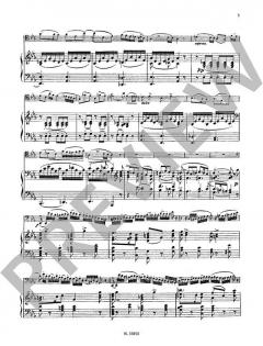 Andante e Rondo Ungarese op. 35 von Carl Maria von Weber 