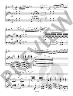 Concertstück op. 3 von Joachim Andersen 