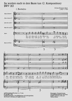 Sie werden euch in den Bann tun (II) (J.S. Bach) 
