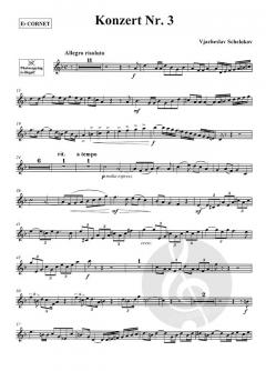 Konzert Nr. 3 von Vjacheslav Schelokov (Download) 
