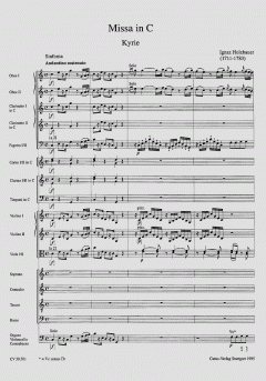 Musik der Mannheimer Hofkapelle Band 1 (Leinenumschlag) von Ignaz Holzbauer 