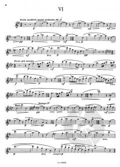 12 Etudes Melodiques von Henri Büsser 