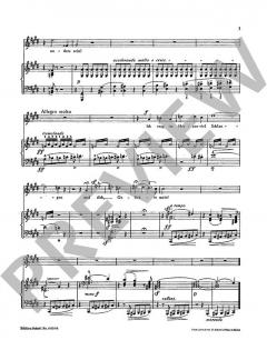 Vergiftet sind meine Lieder von Franz Liszt (Download) 