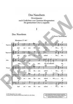 Das Nasobem von Franz Tischhauser (Download) 