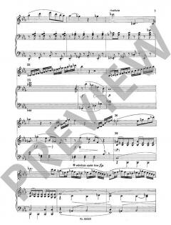 Divertimento Es-Dur von Carl Maria von Weber (Download) 
