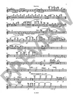 Nonett op. 30 von Graham Waterhouse (Download) 