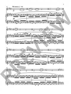 Rhapsodie Danoise von Naji Hakim (Download) 