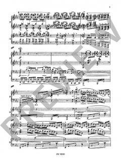 Zweites Klavierkonzert c-Moll op. 50 von Nikolai Medtner (Download) im Alle Noten Shop kaufen