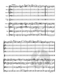 Sinfonie G-Dur Hob. I:81 von Joseph Haydn 