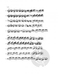 6 Suiten BWV 1007-1012 - Synoptischer Faksimileband von Johann Sebastian Bach (Download) 