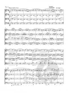 Streichquartett cis-Moll op. 131 von Ludwig van Beethoven (Download) 