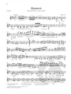 Klarinettenquintett h-moll op. 115 von Johannes Brahms 