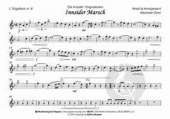 Die Innsider 